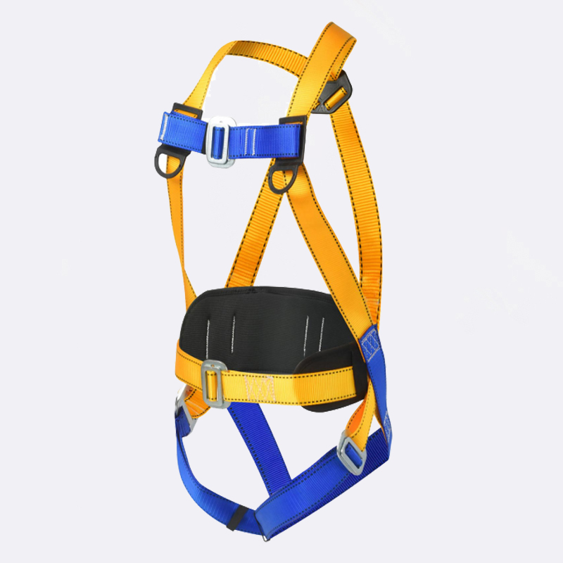 Standard Full Body Harness